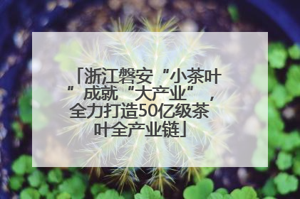 浙江磐安“小茶叶”成就“大产业”，全力打造50亿级茶叶全产业链
