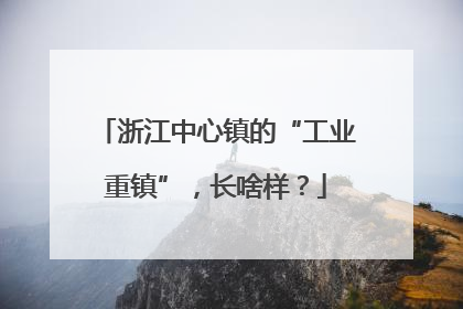 浙江中心镇的“工业重镇”，长啥样？