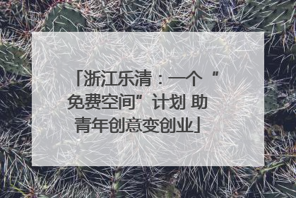 浙江乐清：一个“免费空间”计划 助青年创意变创业