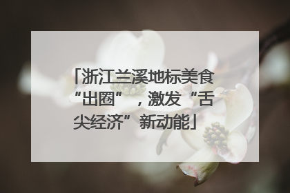 浙江兰溪地标美食“出圈”，激发“舌尖经济”新动能
