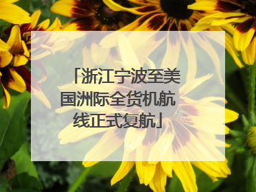 浙江宁波至美国洲际全货机航线正式复航