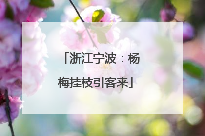 浙江宁波：杨梅挂枝引客来