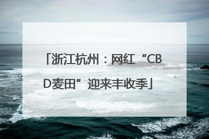 浙江杭州：网红“CBD麦田”迎来丰收季
