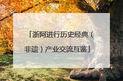 浙阿进行历史经典（非遗）产业交流互鉴