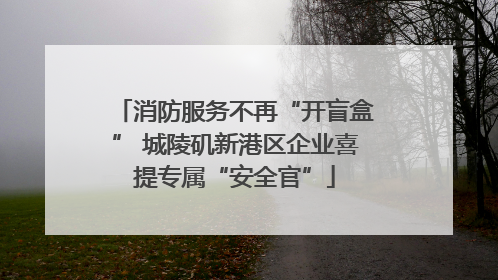 消防服务不再“开盲盒” 城陵矶新港区企业喜提专属“安全官”
