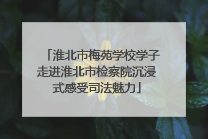 淮北市梅苑学校学子走进淮北市检察院沉浸式感受司法魅力