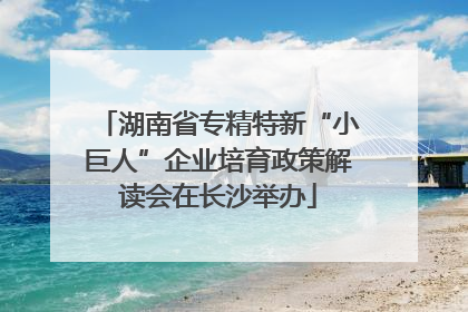 湖南省专精特新“小巨人”企业培育政策解读会在长沙举办