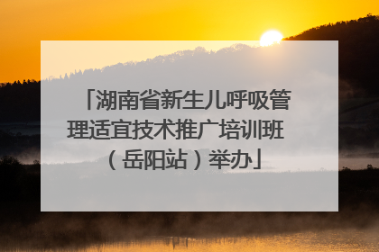 湖南省新生儿呼吸管理适宜技术推广培训班（岳阳站）举办