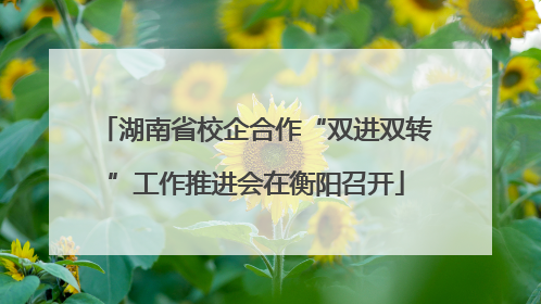 湖南省校企合作“双进双转”工作推进会在衡阳召开