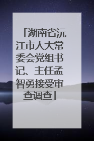 湖南省沅江市人大常委会党组书记、主任孟智勇接受审查调查