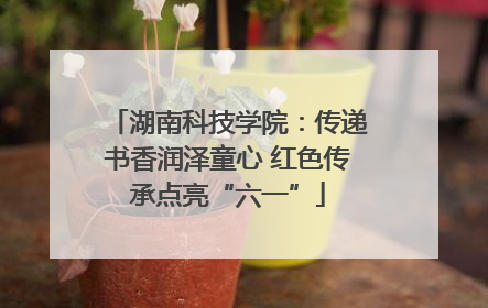湖南科技学院：传递书香润泽童心 红色传承点亮“六一”