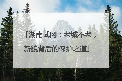 湖南武冈：老城不老，新貌背后的保护之道