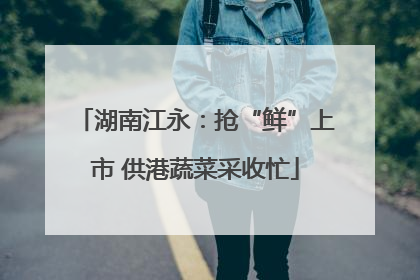湖南江永：抢“鲜”上市 供港蔬菜采收忙