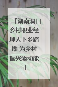 湖南洞口乡村职业经理人下乡踏勘 为乡村振兴添动能