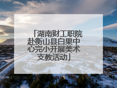 湖南财工职院赴衡山县白果中心完小开展美术支教活动