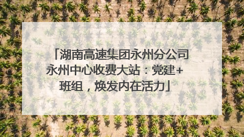 湖南高速集团永州分公司永州中心收费大站：党建+班组，焕发内在活力