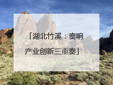 湖北竹溪：奏响产业创新三重奏