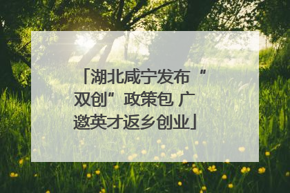 湖北咸宁发布“双创”政策包 广邀英才返乡创业