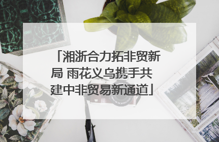 湘浙合力拓非贸新局 雨花义乌携手共建中非贸易新通道