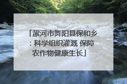 漯河市舞阳县保和乡：科学组织灌溉 保障农作物健康生长