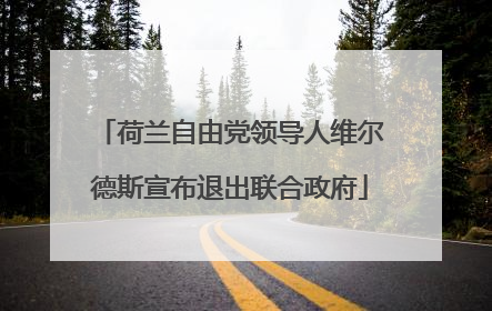 荷兰自由党领导人维尔德斯宣布退出联合政府