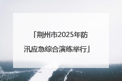 荆州市2025年防汛应急综合演练举行