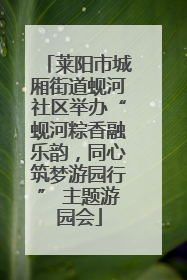 莱阳市城厢街道蚬河社区举办“蚬河粽香融乐韵，同心筑梦游园行” 主题游园会