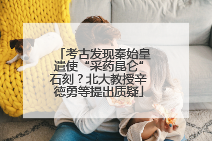 考古发现秦始皇遣使“采药昆仑”石刻？北大教授辛德勇等提出质疑