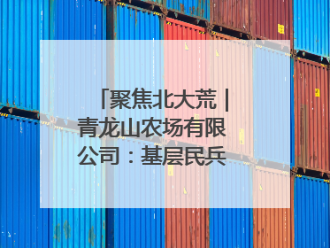 聚焦北大荒｜青龙山农场有限公司：基层民兵参与农业环境综合治理显效