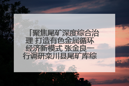 聚焦尾矿深度综合治理 打造有色金属循环经济新模式 张金良一行调研栾川县尾矿库综合治理工作