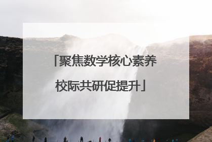 聚焦数学核心素养 校际共研促提升