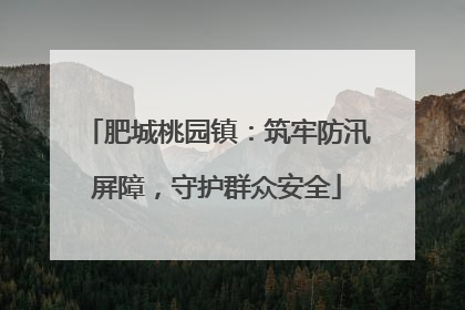 肥城桃园镇：筑牢防汛屏障，守护群众安全