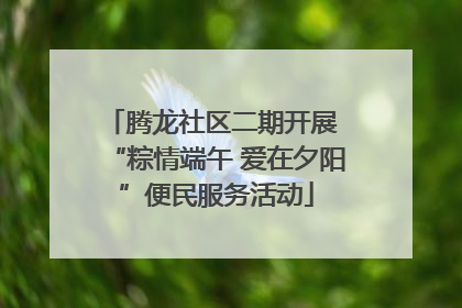 腾龙社区二期开展 “粽情端午 爱在夕阳”便民服务活动