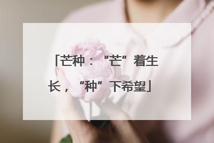 芒种：“芒”着生长，“种”下希望