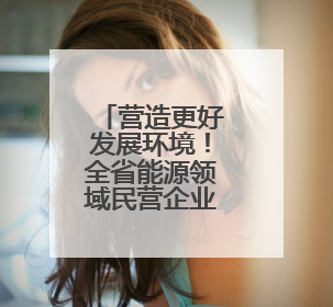 营造更好发展环境！全省能源领域民营企业座谈会在郑州召开