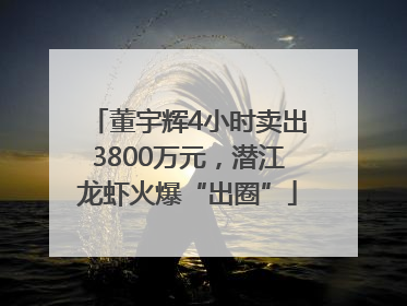 董宇辉4小时卖出3800万元，潜江龙虾火爆“出圈”
