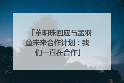 董明珠回应与孟羽童未来合作计划：我们一直在合作