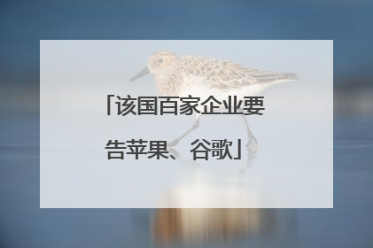 该国百家企业要告苹果、谷歌