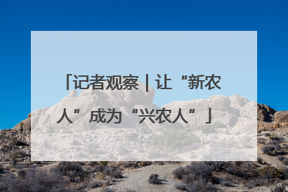 记者观察｜让“新农人”成为“兴农人”
