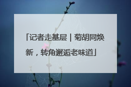记者走基层｜菊胡同焕新，转角邂逅老味道