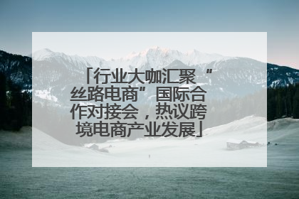 行业大咖汇聚“丝路电商”国际合作对接会，热议跨境电商产业发展
