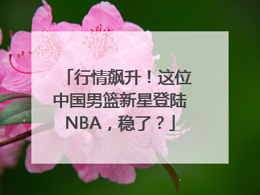 行情飙升！这位中国男篮新星登陆NBA，稳了？