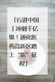 行进中国丨冲刺千亿级！通化医药高新区踏上“新”征程