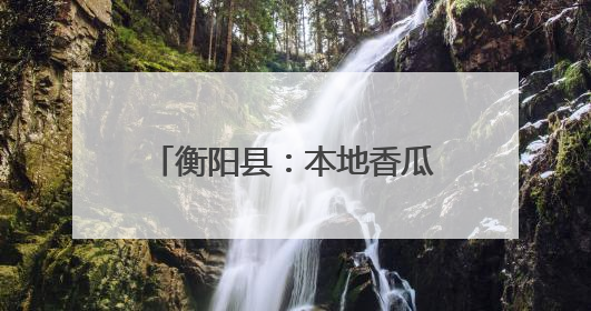 衡阳县：本地香瓜抢“鲜”上市 农旅融合助力乡村振兴