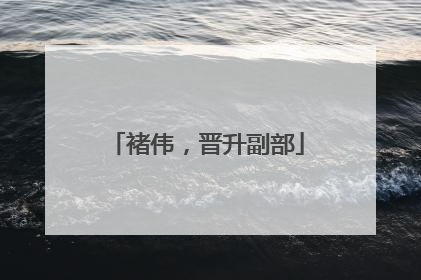 褚伟，晋升副部