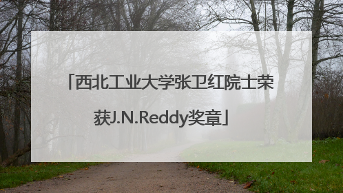 西北工业大学张卫红院士荣获J.N.Reddy奖章