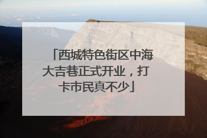 西城特色街区中海大吉巷正式开业，打卡市民真不少