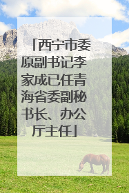 西宁市委原副书记李家成已任青海省委副秘书长、办公厅主任