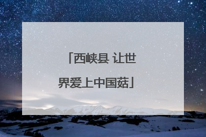 西峡县 让世界爱上中国菇
