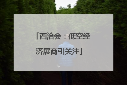 西洽会：低空经济展商引关注